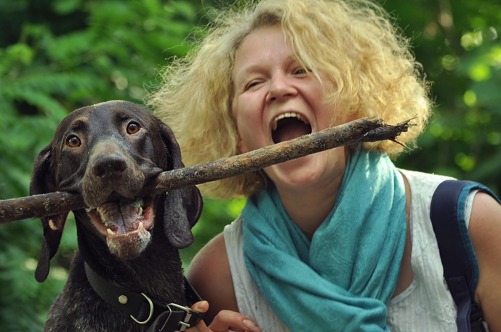 Understanding the Keyword 9149127033: Meaning, Uses, and Digital Significance